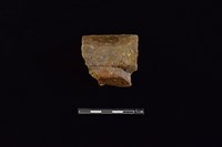 陶片藏品圖，第2張